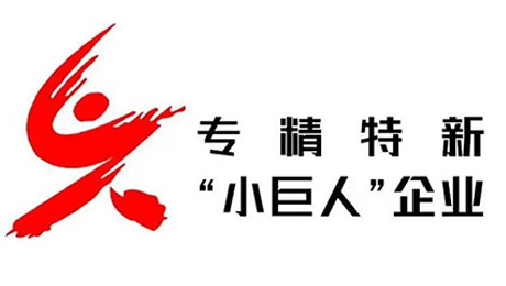 公司获得工信部认定为国家级专精特新”小巨